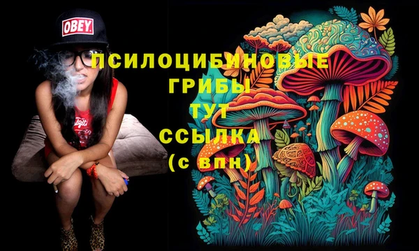 ECSTASY Белокуриха
