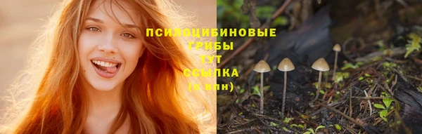 амф Беломорск