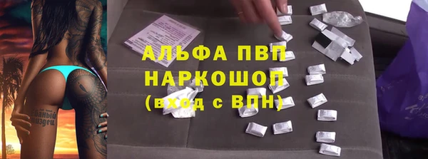ECSTASY Белокуриха
