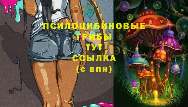 амф Беломорск