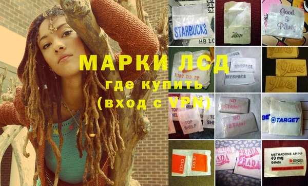 амф Беломорск
