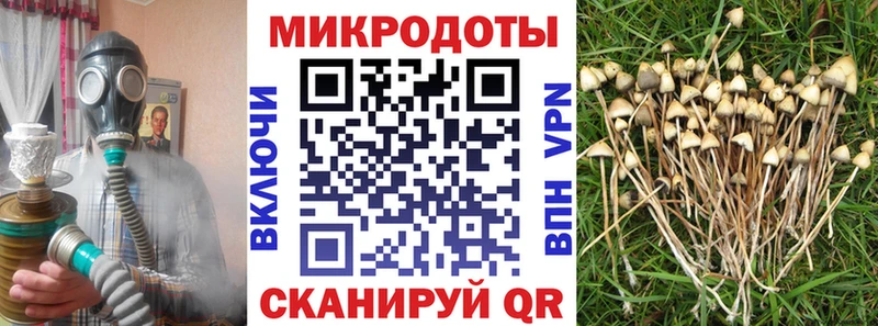 Псилоцибиновые грибы MAGIC MUSHROOMS  Малмыж 